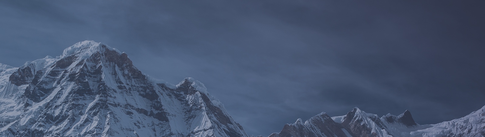 company-header.jpg